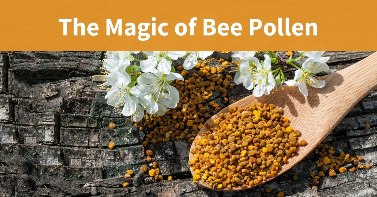 evolve bee pollen